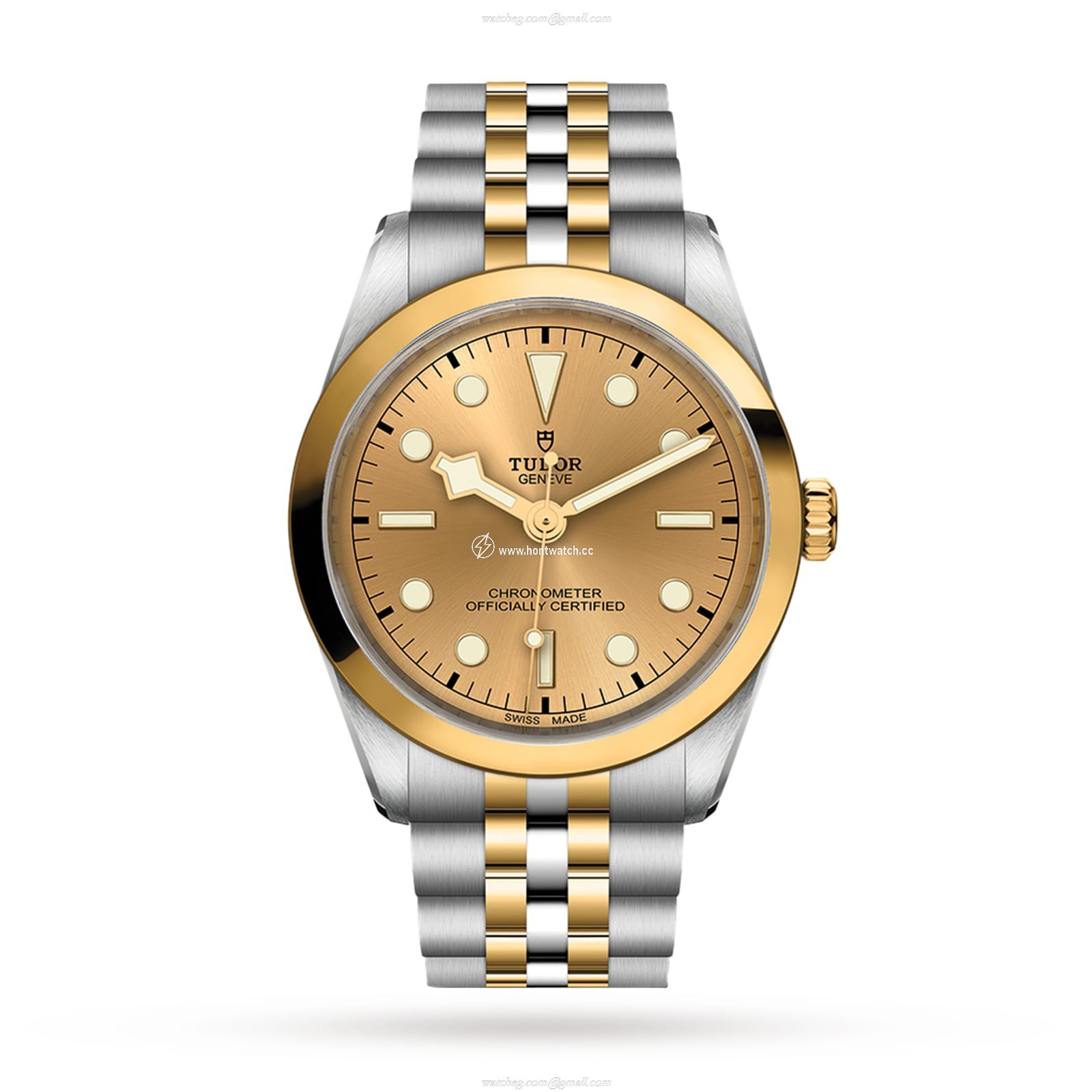 Tudor Black Bay M79643-0005 Stainless Steel & 18ct Yellow Gold Automatic Champagne replica watches