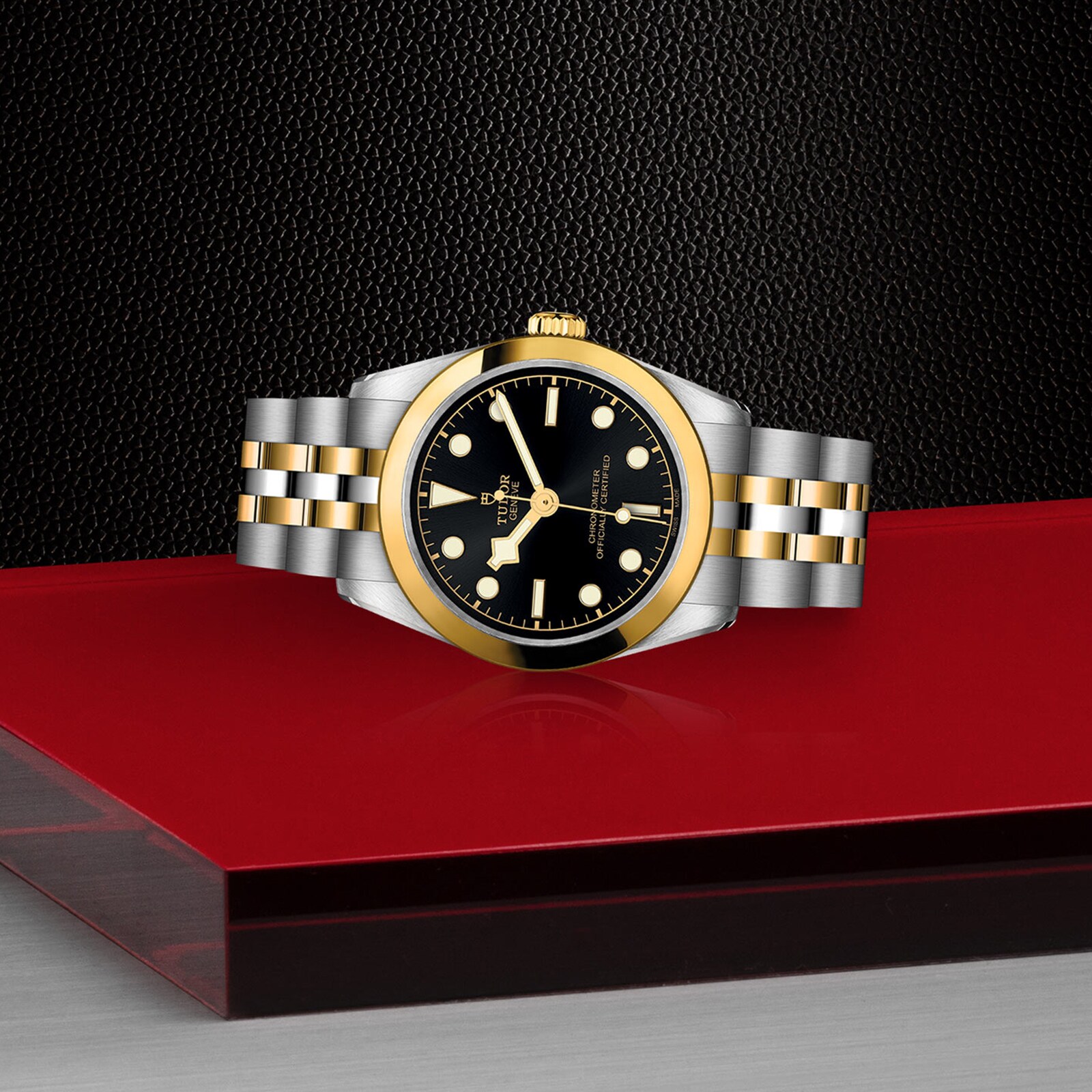 Tudor Black Bay M79603-0001 Stainless Steel & 18ct Yellow Gold Automatic Black